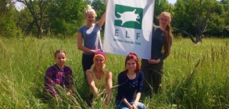 Kanada kuldvitsa tõrje Raadil