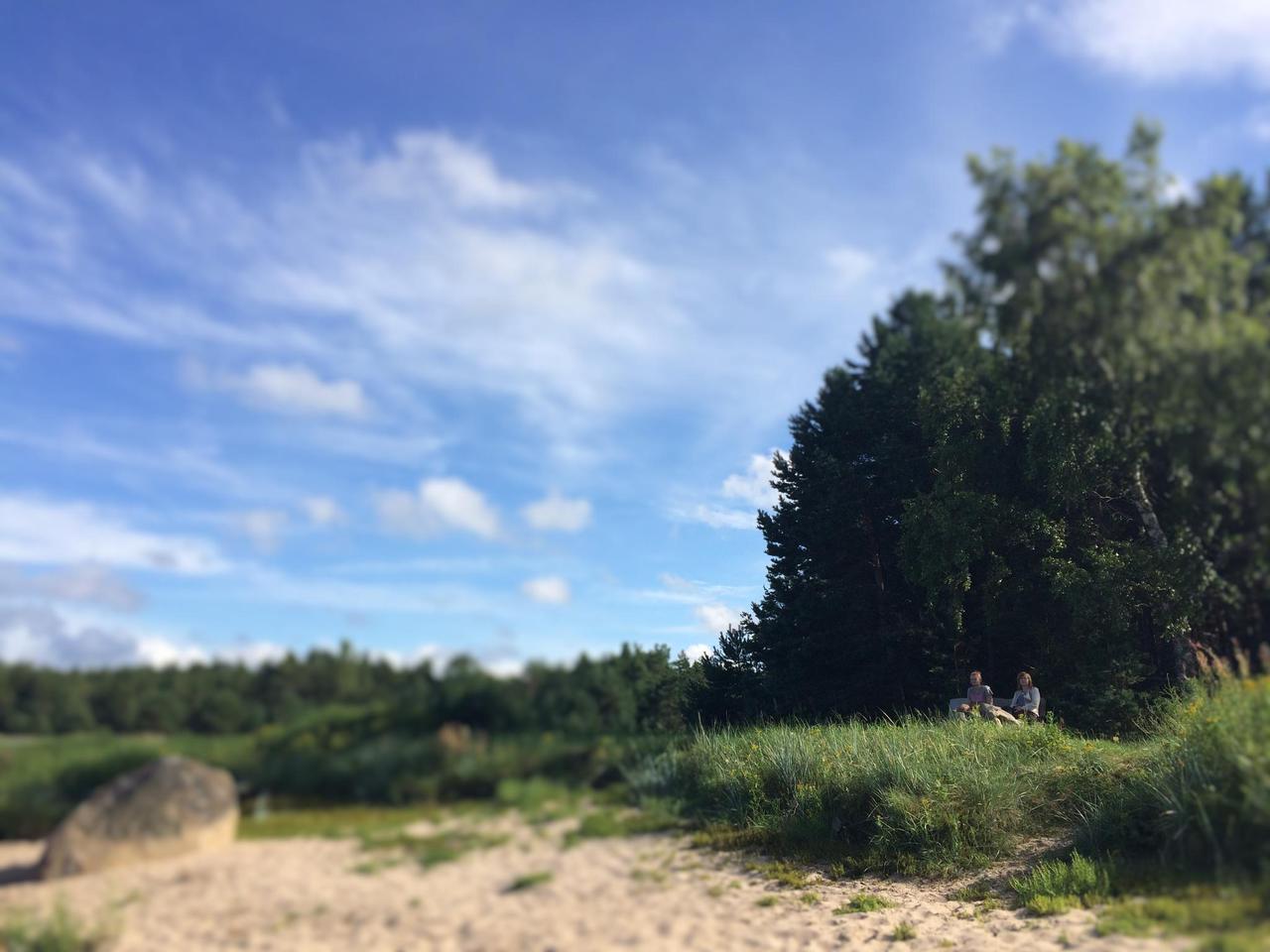 Muruvõimlemine ja mantrate kujundamine Vainupeal 2016 / foto: Mario Luik