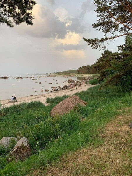 Vainupea jaanituli 2021 / foto: Lemme Suve