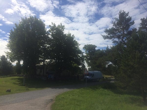 Vainupea Klassikokkutulek 2: Pulmad ja matused 2017 / pilt: Mario Luik