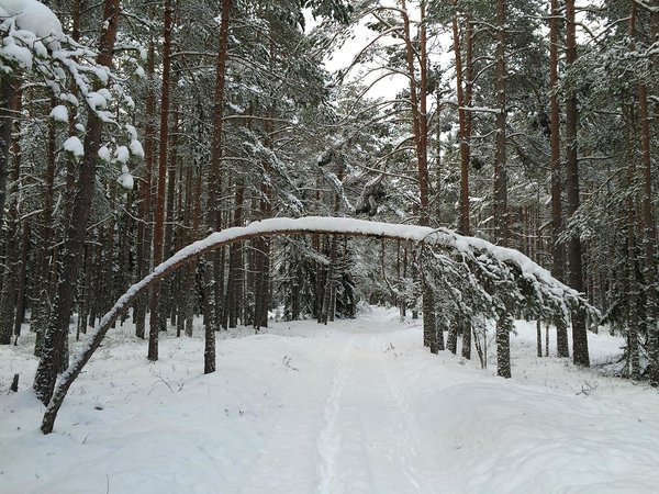 Vainupea talv (veebruar 2016) / foto: Mario Luik