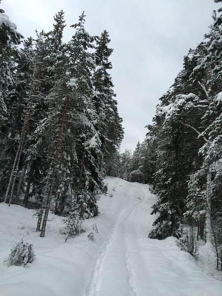 Vainupea talv (veebruar 2016) / foto: Mario Luik
