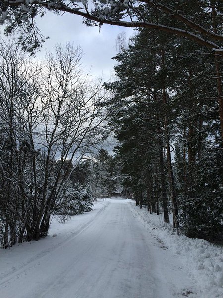 Vainupea talv (veebruar 2016) / foto: Mario Luik