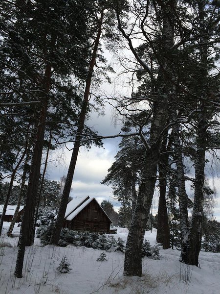 Vainupea talv (veebruar 2016) / foto: Mario Luik