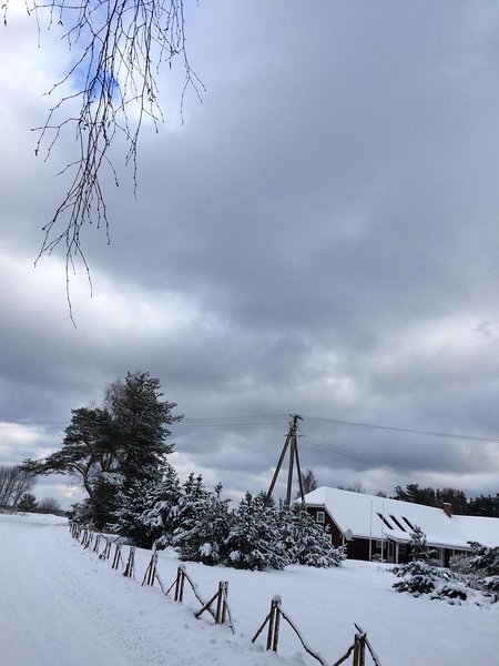 Vainupea talv (veebruar 2016) / foto: Mario Luik
