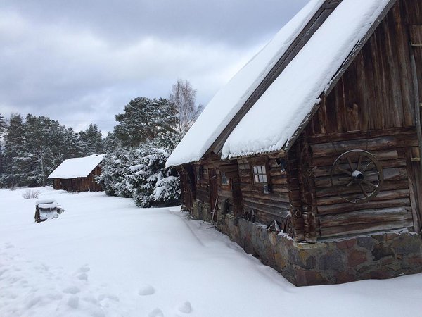 Vainupea talv (veebruar 2016) / foto: Mario Luik