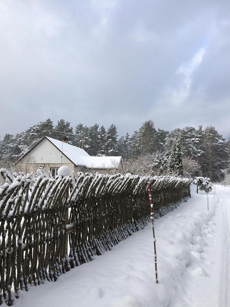 Vainupea talv (veebruar 2016) / foto: Mario Luik