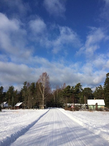 Vainupea talv (veebruar 2016) / foto: Mario Luik