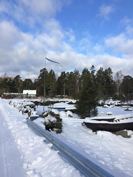 Vainupea talv (veebruar 2016) / foto: Mario Luik