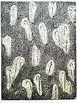 Img 7829
