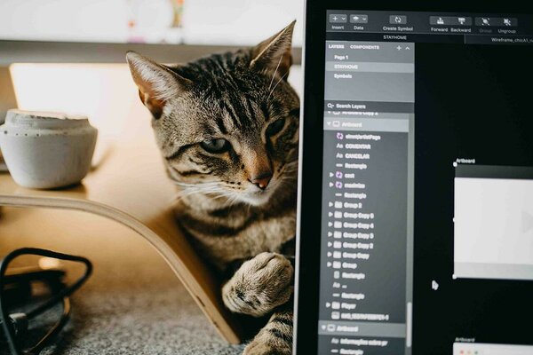 Whether you're working from home or the office, the future of work will bring new challenges and new ways to work. Whether you're working from home or the office, the future of work will bring new challenges and new ways to work.