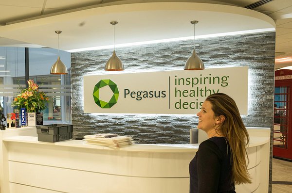 The office of the creative team at Pegasus. The office of the creative team at Pegasus.