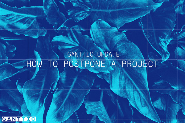 how to postpone a project. how to postpone a project.