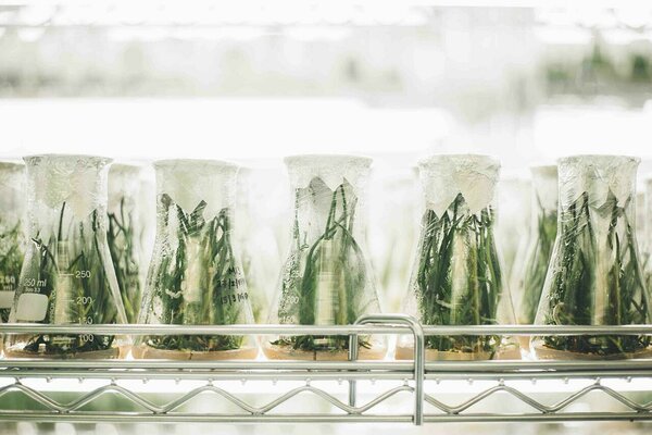 If your boss is preventing you from growing, it might be a sign that your workplace is toxic and some changes need to be addressed. If your boss is preventing you from growing, it might be a sign that your workplace is toxic and some changes need to be addressed.