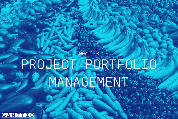 what is project portfolio management what is project portfolio management