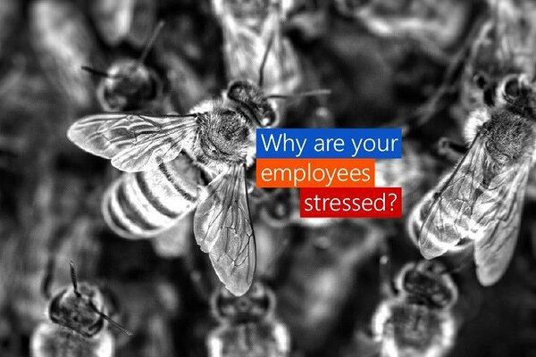 Why are your employees stressed? Why are your employees stressed?