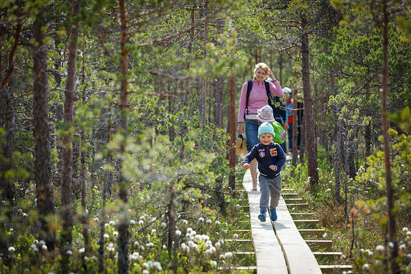 Kakerdaja bog on Ähijärve-Aegviidu trail section in Mid-Estonia