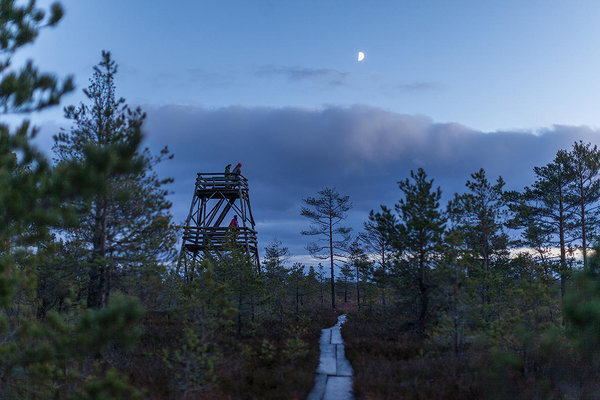 Kõnnu-Suursoo bog on Oandu-Aegviidu trail section in North-Estonia