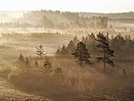 autumn sunrise in Jussi moor, Estonia