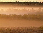 Jussi moor sunrise, Estonia