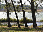 Bazaleti järv