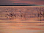 evening on Peipsi lake, Estonia