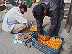 our driver Sharif choosing apricots