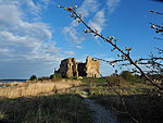 Toolse castle ruins