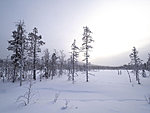 Pyhä-Luosto nature park, Finland