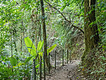 trail to the waterfall