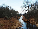 Narewka river