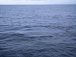 vaala jälg