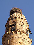 stork nest Hasankeyf