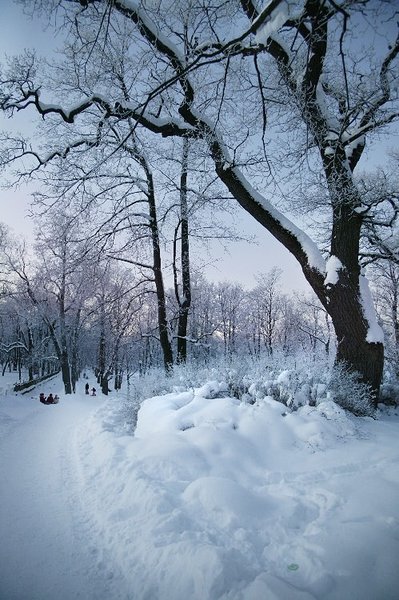 Winter in Kadriorg. Photo Kadriorg Park