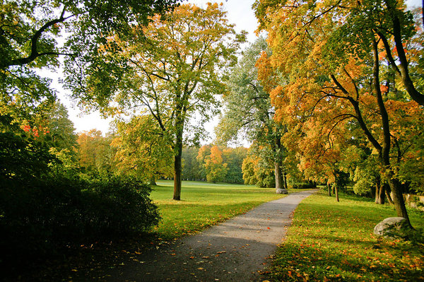 Natural area in the park. Photo: Kadriorg Park