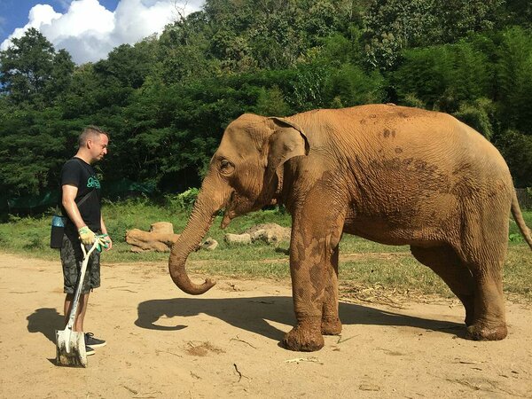 Ronald Tais elevantide kaitsealal
