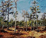 &quot;Pines. Valgesoo Marsh&quot;. 2020. Oil on canvas. 16&#x27;&#x27; 19&#x27;&#x27;. Private collection