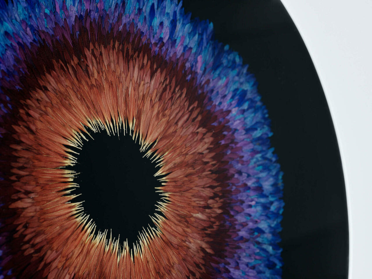 EXPOSURE #2 detail (petals, epoxy resin etc.)Photo: Arttu Kokkonen