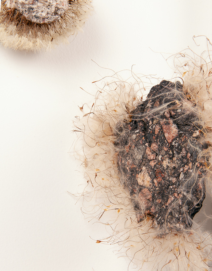 METEORITES (asphalt, concrete, stone, seeds etc.) Photo: Pasi Autio
