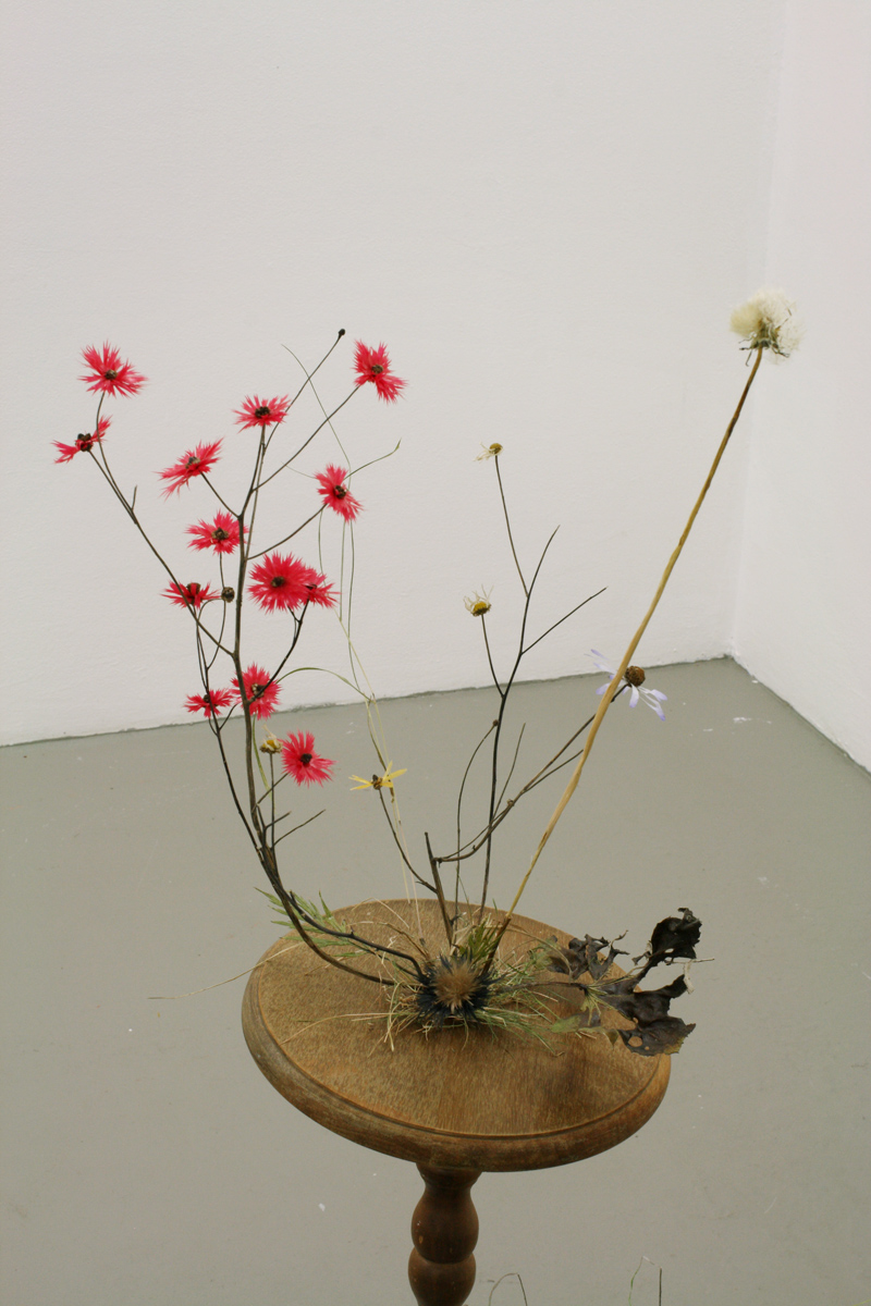 A SMALL FOREST TABLEAU  Kasvinosia, veriväri paperilla, muovailuvaha, huonekalun osia yms.