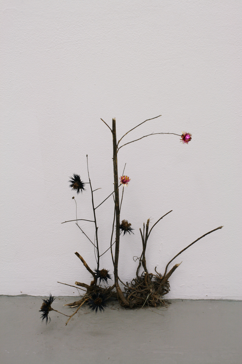 A SMALL FOREST TABLEAU  Kasvinosia, veriväri paperilla, muovailuvaha, huonekalun osia yms.