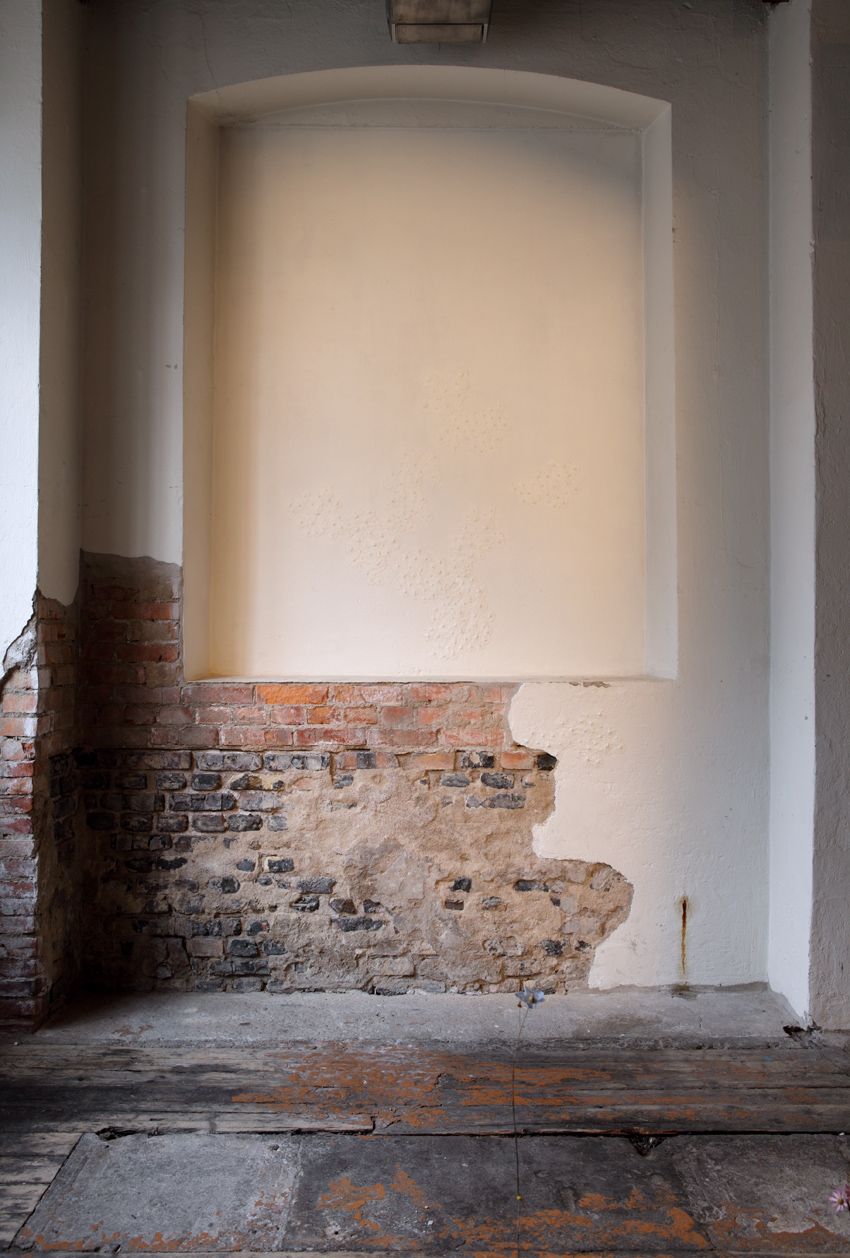 HIDDEN MEADOW petals, plant parts, wall paint etc. (2014/17)