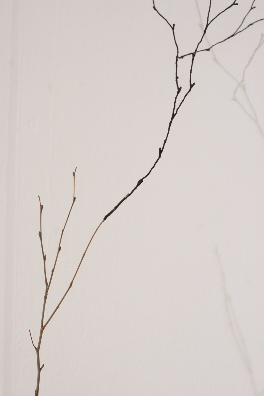 MIXED FOREST birch and spruce plants, branches made of wire and thread, artificial spruce branches, moss etc.