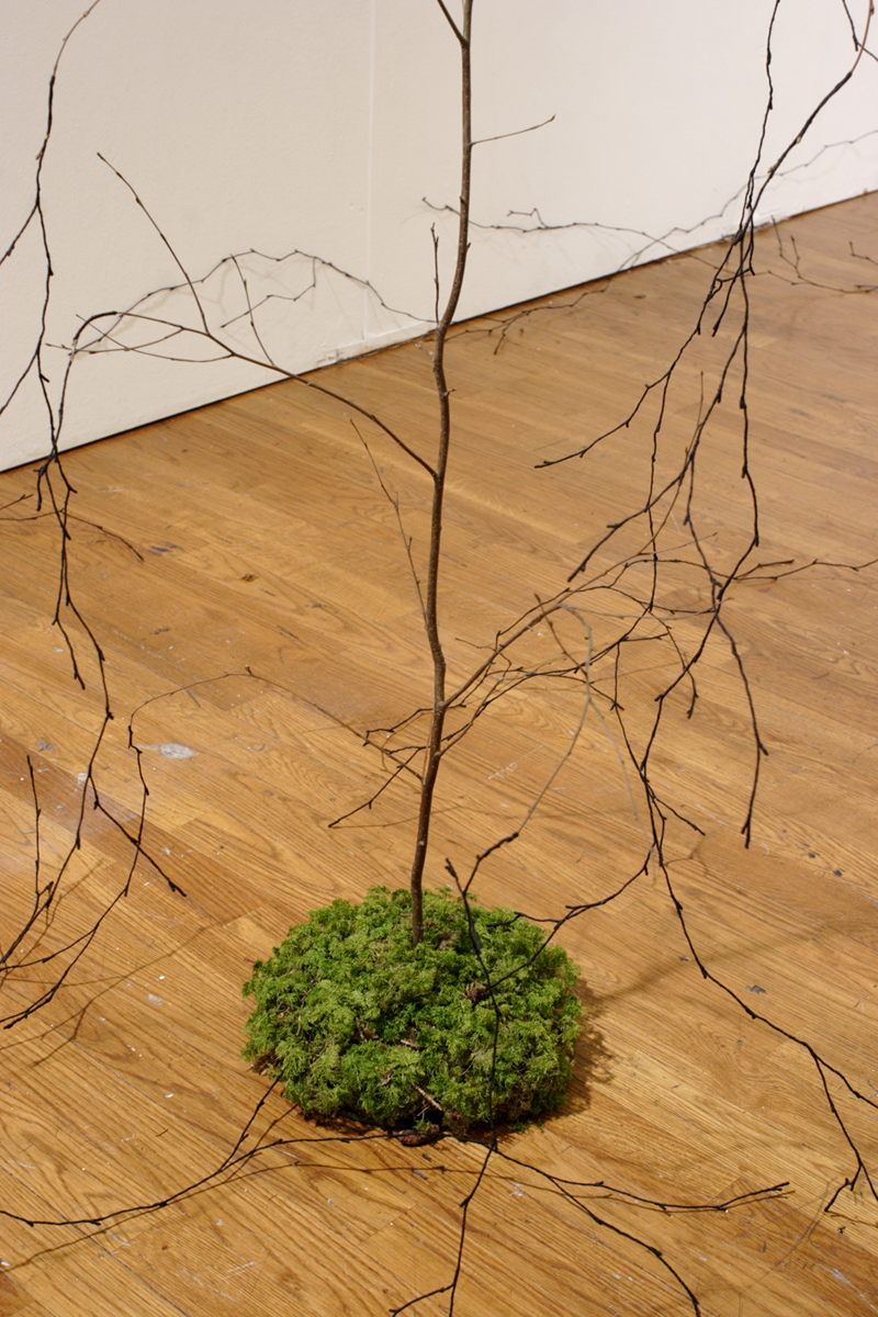 MIXED FOREST birch and spruce plants, branches made of wire and thread, artificial spruce branches, moss etc.
