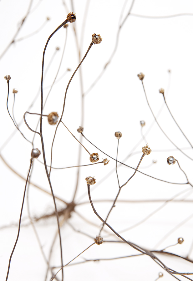 SMALL GALAXY detail (plant parts, beads etc.) Photo: Pasi Autio