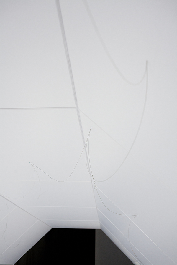 VESSELS (grass, seeds etc.) Photo: Pasi Autio
