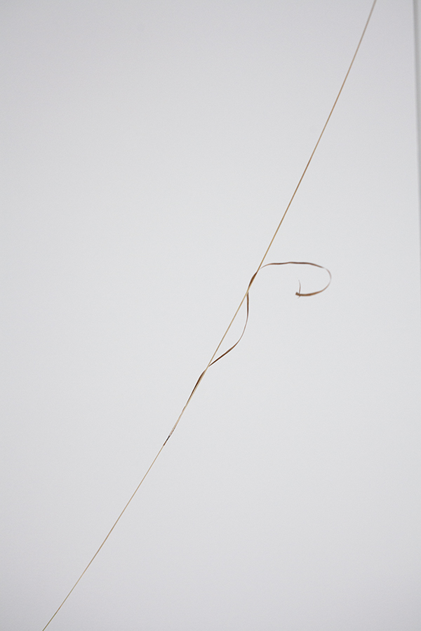 VESSELS (grass, seeds etc.) Photo: Pasi Autio