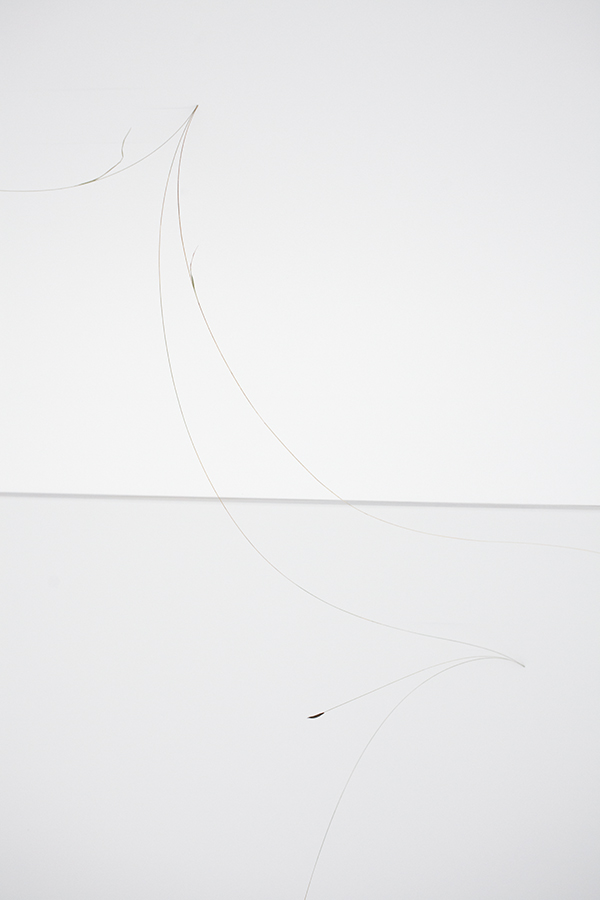 VESSELS (grass, seeds etc.) Photo: Pasi Autio
