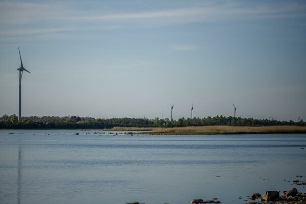 Tuuliku Läänemaal. Foto: Katre Liiv