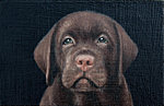 &quot;Puppy&quot; Oil on panel, 11,5x7,5 cm. Painting of our dog Orwell as a puppy is my smallest portrait so far.